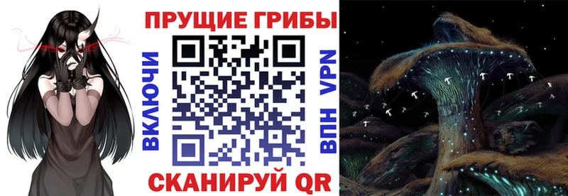 закладки  Солигалич  Псилоцибиновые грибы Magic Shrooms 